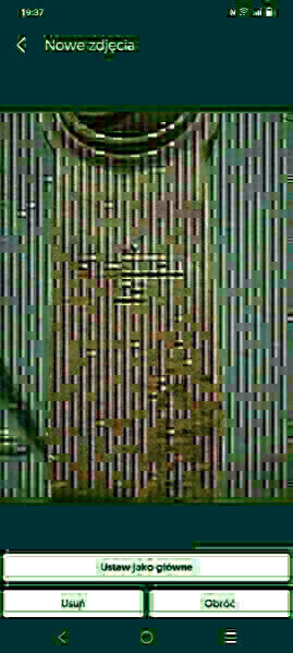 Zdjęcie główne 928267