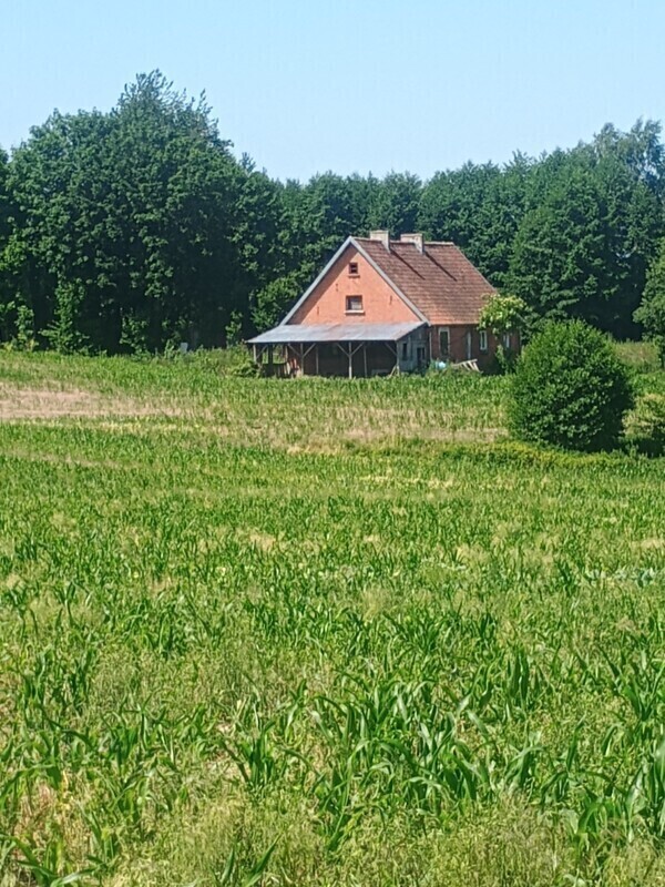 Zdjęcie główne 927386
