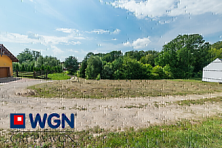 Zdjęcie główne 929053