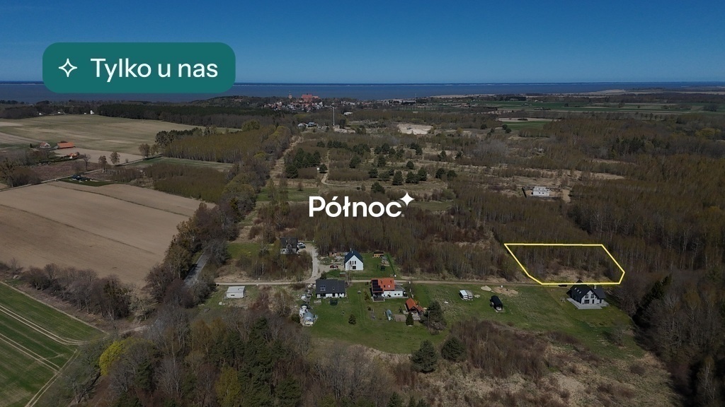 Zdjęcie główne 905304