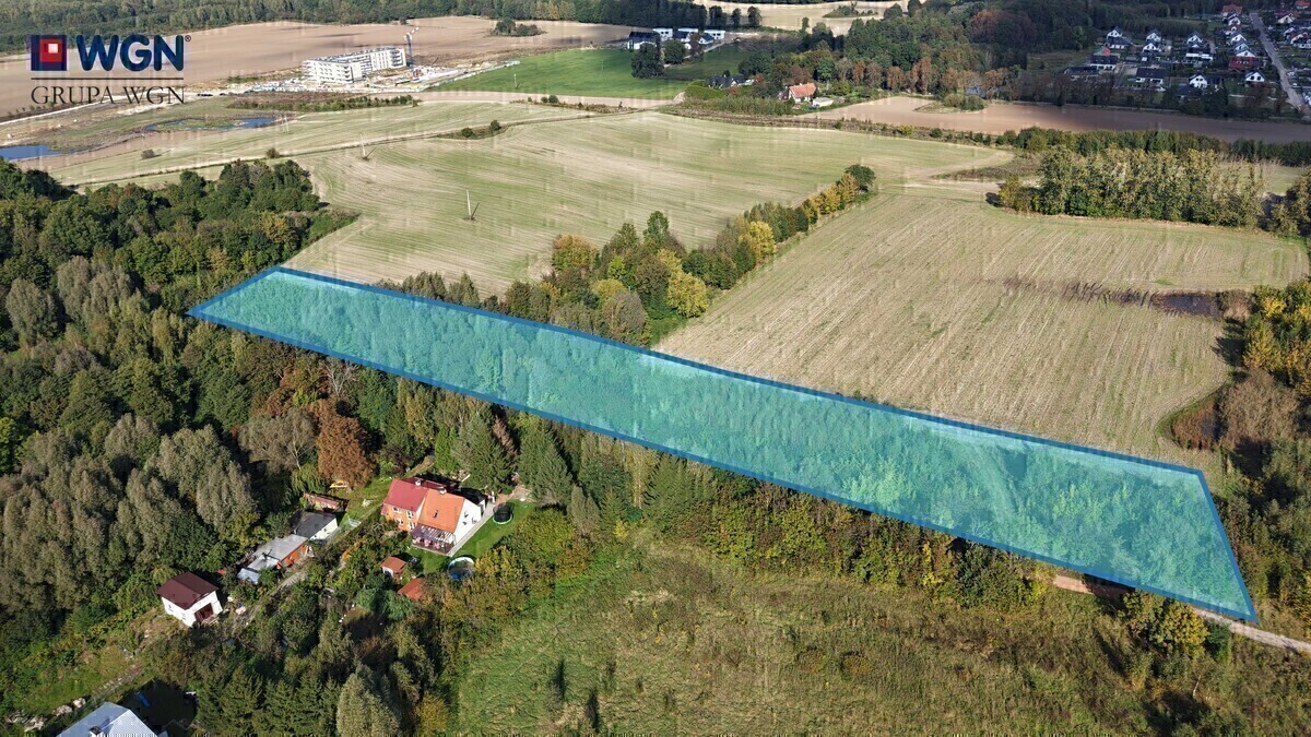 Zdjęcie główne 927553