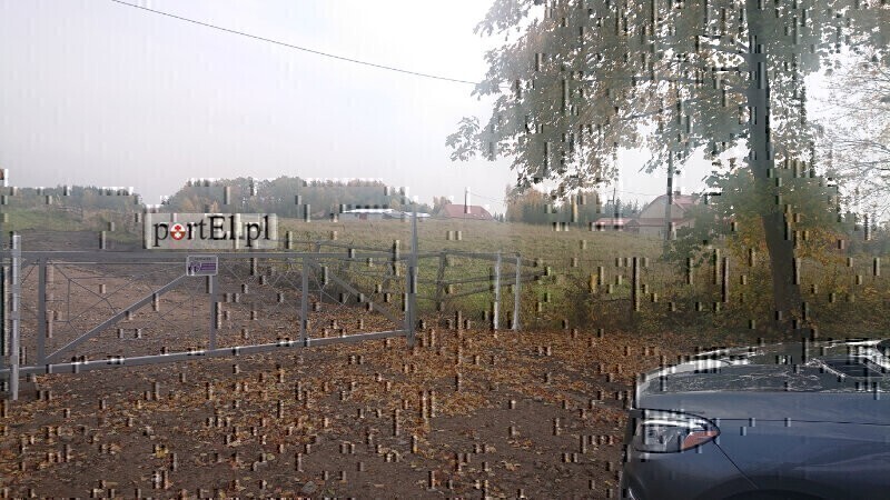 Zdjęcie główne 929692