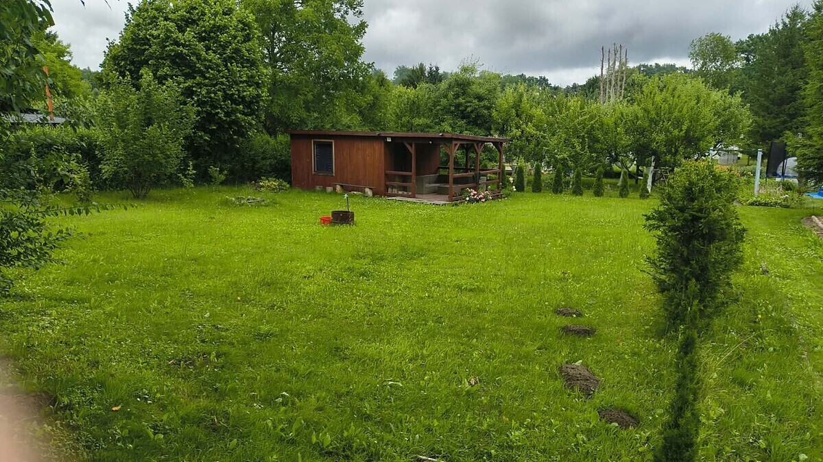 Zdjęcie główne 929121