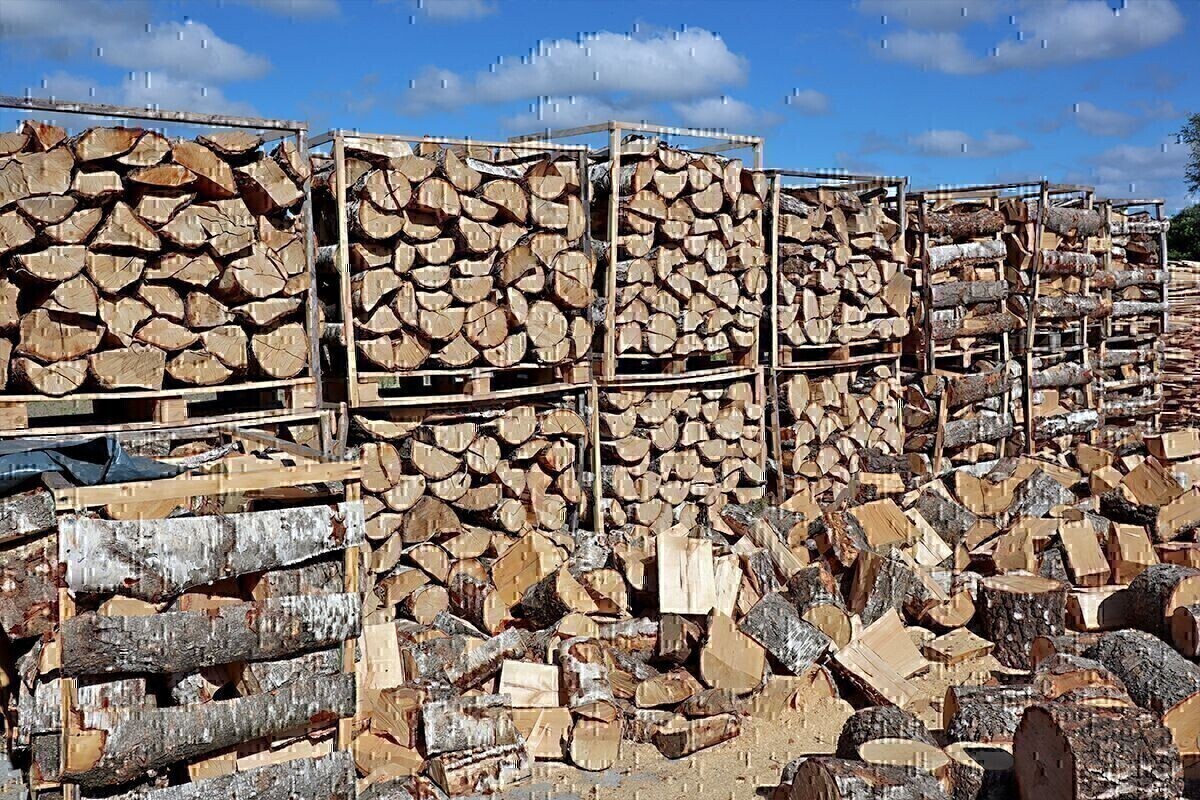 Zdjęcie główne 930582