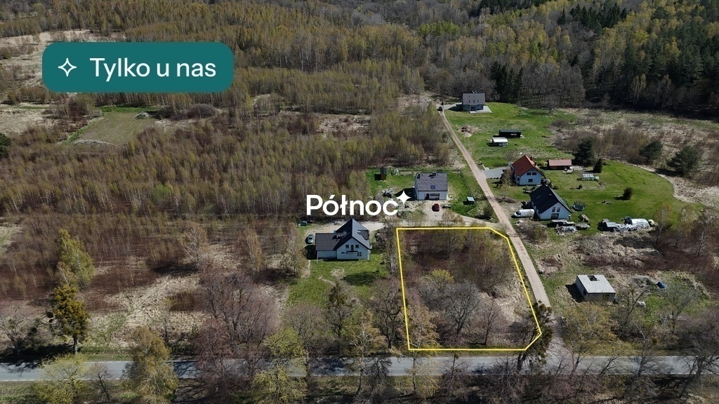 Zdjęcie główne 905303