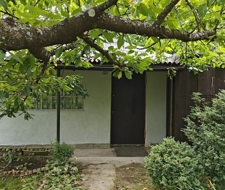Zdjęcie główne 928305