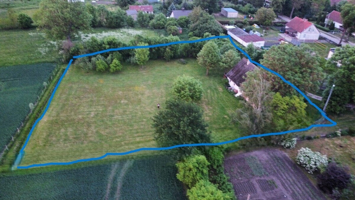 Zdjęcie główne 929753