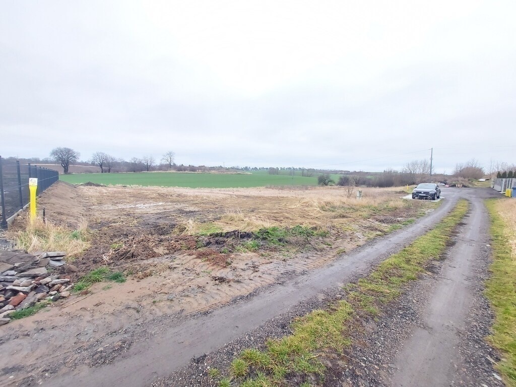 Zdjęcie główne 892977