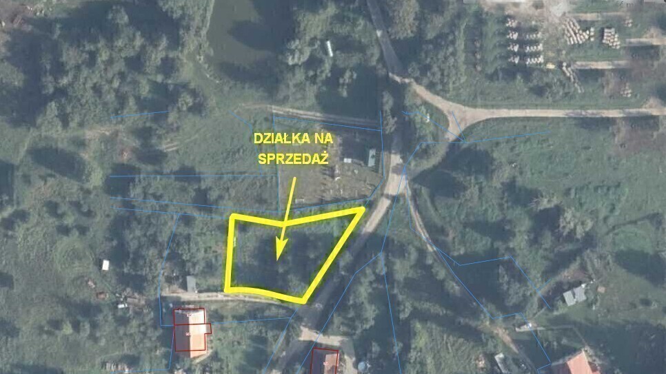 Zdjęcie główne 929863