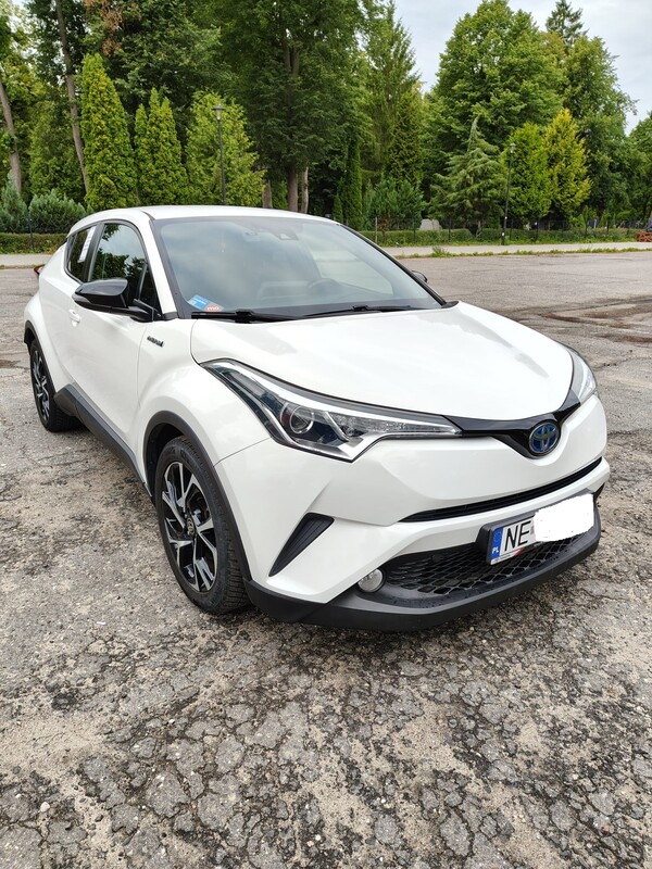 Zdjęcie główne 930947