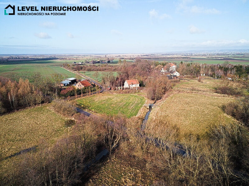 Zdjęcie główne 929425