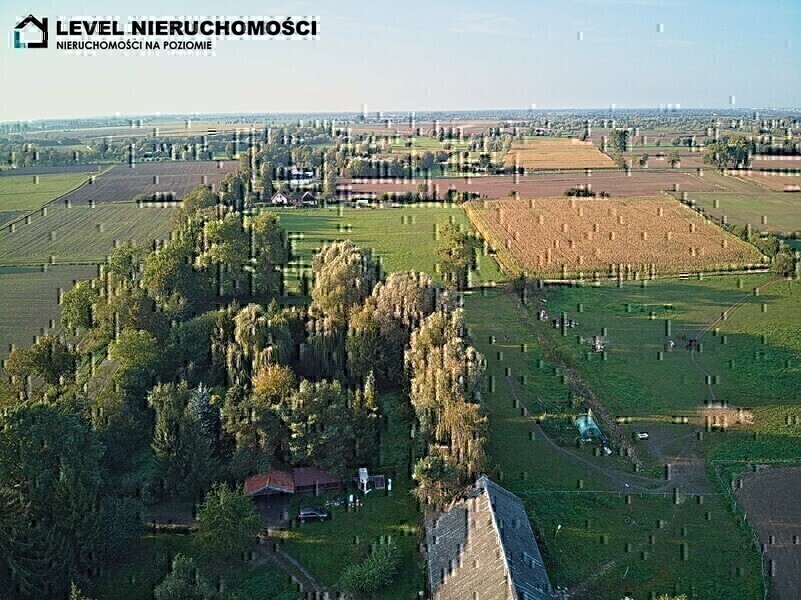 Zdjęcie główne 929437