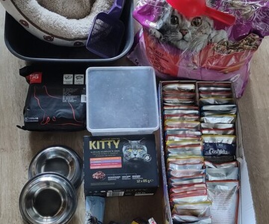 Witam sprzedam 55 saszetek karmy dla kota sos, 8 kg karmy 