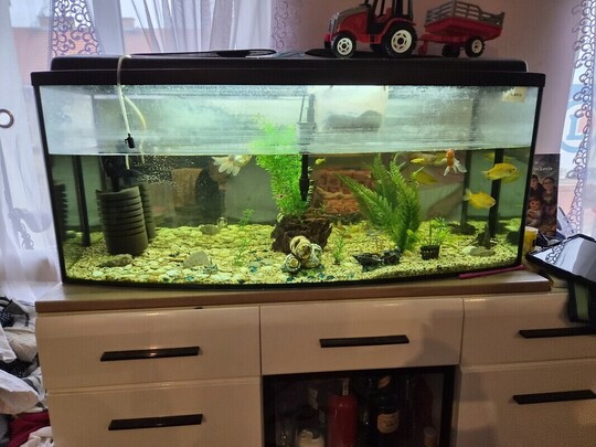 Witam sptzedam akwarium 240l wraz z rybkami pompka 