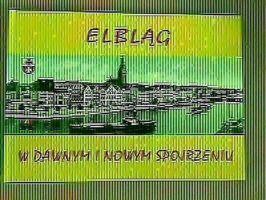 Album o Elblągu 