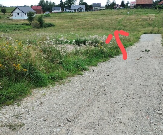 Działka budowlana w Zajączkowie 