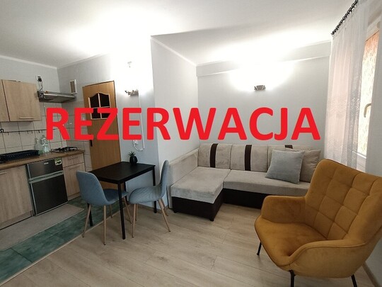 STATOR NIERUCHOMOŚCI - 31 lat w Elblągu DO WYNAJĘCIA 