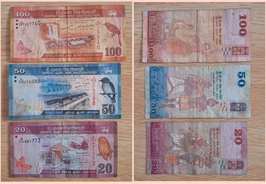 Zestaw 3 Egzotycznych Banknotów ze Sri Lanki - Ptaki, 