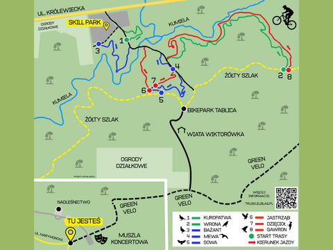 Rowerem na elbląski Bikepark