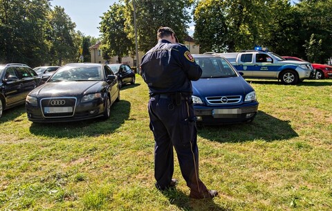 Uroki pływania, bóle parkowania (aktualizacja)