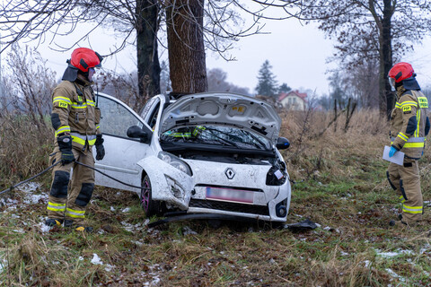 19-latka uderzyła w drzewo na starej siódemce
