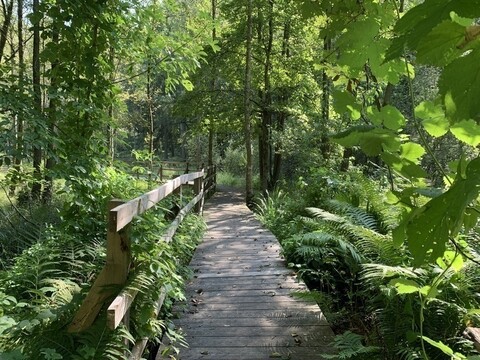 Leśne Arboretum Warmii i Mazur (Na spacer z portEl.pl, odc. 17) 