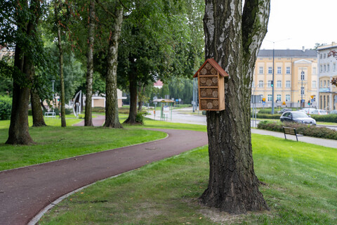 Park Planty prawie gotowy po modernizacji
