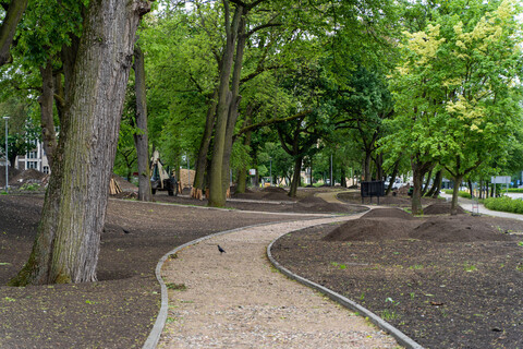 Tak zmienia się park Planty