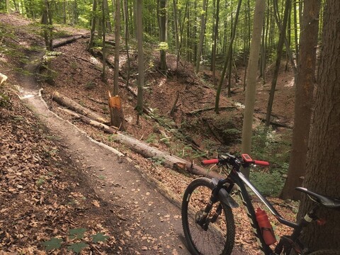 Pomóż rozwijać BikePark