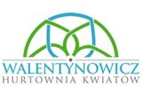 Hurtownia Kwiatów Walentynowicz