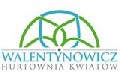 Hurtownia Kwiatów Walentynowicz