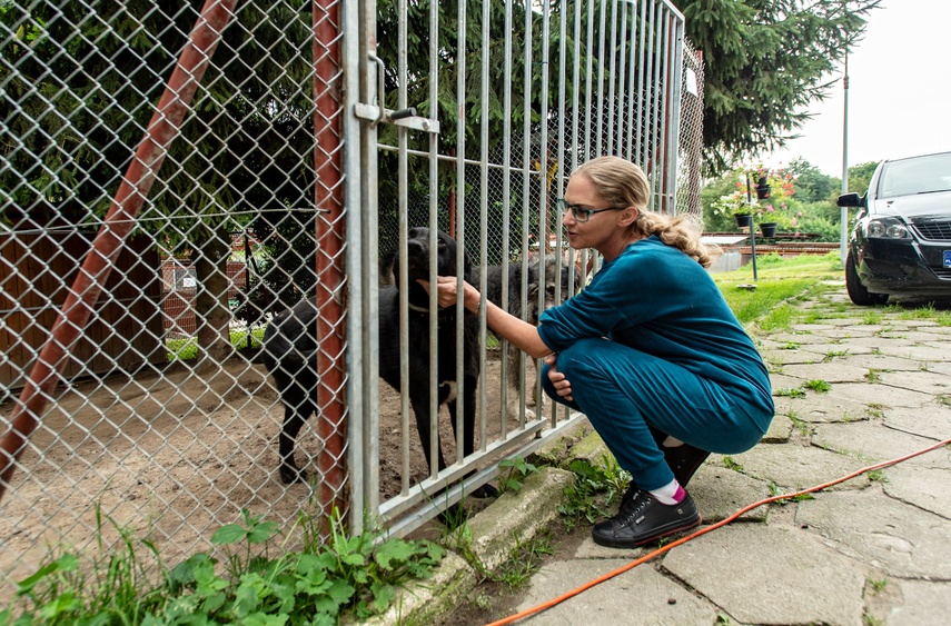To ma być koniec łańcuchów, pseudohodowli, psiego smalcu i skórek z kotów
