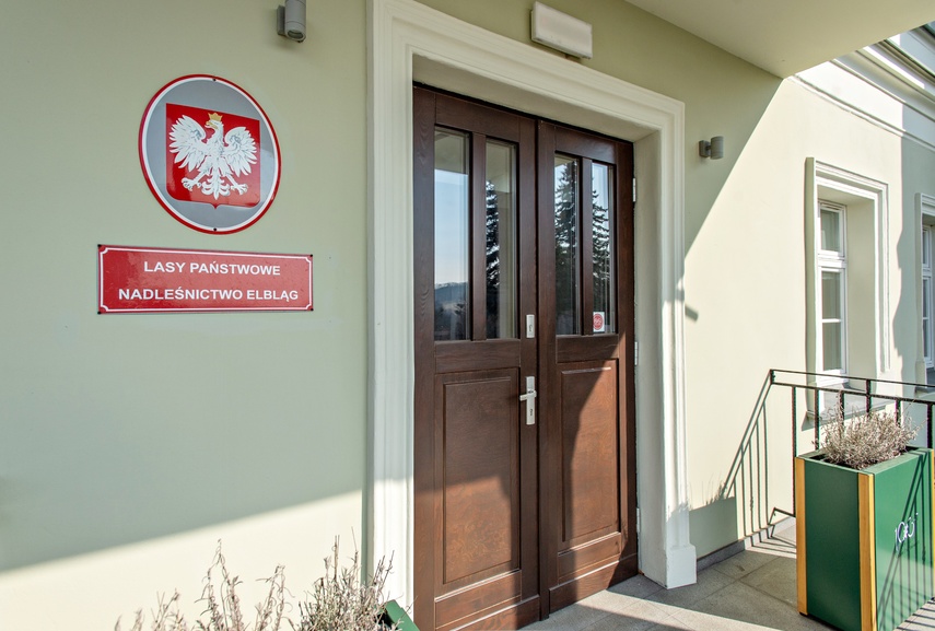 Wokół Elbląga powstaną lasy społeczne