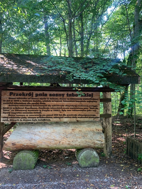 Rezerwat Sosny Taborskiej (Na spacer z portEl.pl, odc. 18)