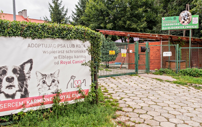 To ma być koniec łańcuchów, pseudohodowli, psiego smalcu i skórek z kotów