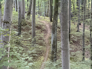 >Rowerem na elbląski Bikepark