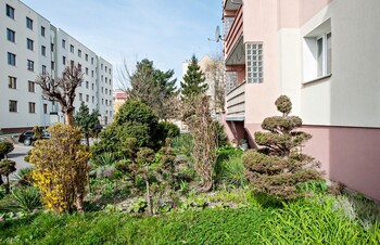 >Mieszkańcy: Pielęgnowaliśmy to trzydzieści lat, teraz spółdzielnia każe wszystko usunąć