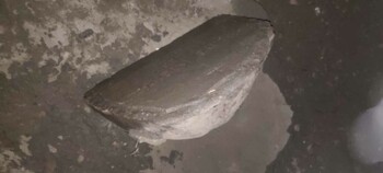 >Tajemnicze znalezisko w parku Traugutta
