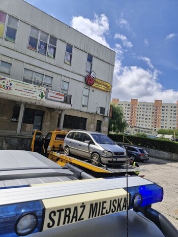 >Stoją i wrastają w ziemię