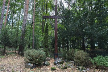 >Historia leśnego cmentarza