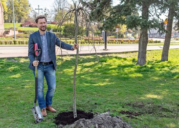 >Bukowy skwer za pomnikiem