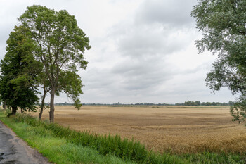 >Nad Tyną o pieniądzach dla Żuław