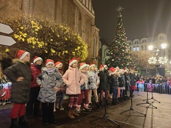 >Miejska choinka już świeci