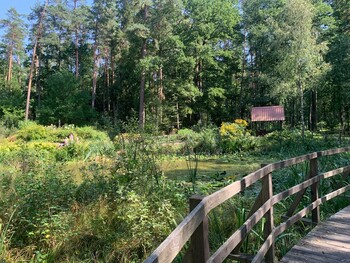 >Leśne Arboretum Warmii i Mazur