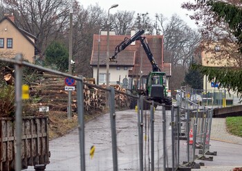 >Były drzewa i krzewy, będzie fotowoltaika