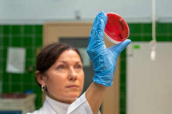 >“Antybiotykoterapia musi być precyzyjna”